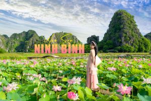 TOUR NINH BÌNH - HOA LƯ - TAM CỐC - HANG MÚA - BÁI ĐÍNH - TRÀNG AN 2N1Đ