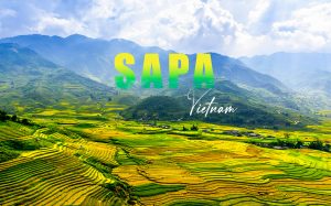 HÀ NỘI - SAPA - CÁT CÁT - FANSIPAN - 2N1Đ