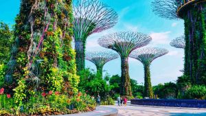 Du Lịch Singapore Tự Túc: Lên Kế Hoạch Cho Chuyến Đi Đầy Đủ