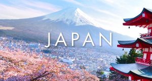 ĐÓN TẾT NGUYÊN ĐÁN GIỮA SẮC HỒNG ANH ĐÀO SỚM