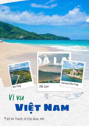 VI VU VIỆT NAM